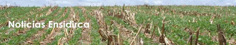Noticias, Maquinaria Agricola, Servicio Agropecuario Maiz, Sorgo